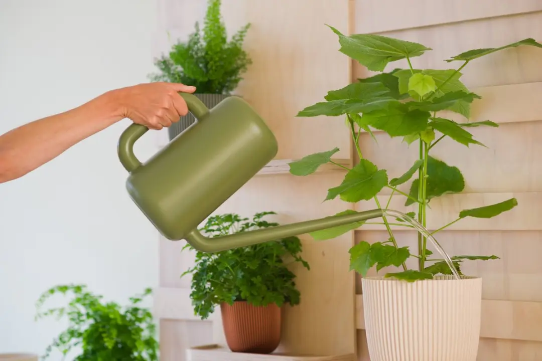 Nature Gieter Kunststof 1.8L Groen