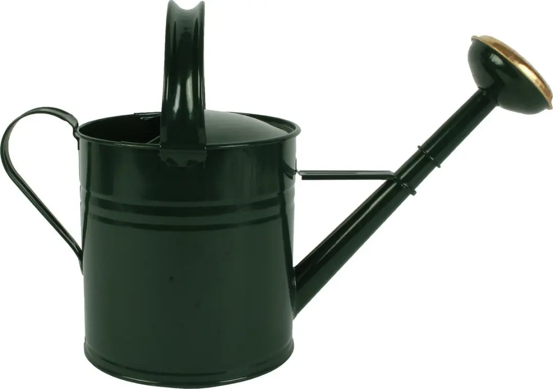 Talen Tools Gieter Metaal 5L - Groen