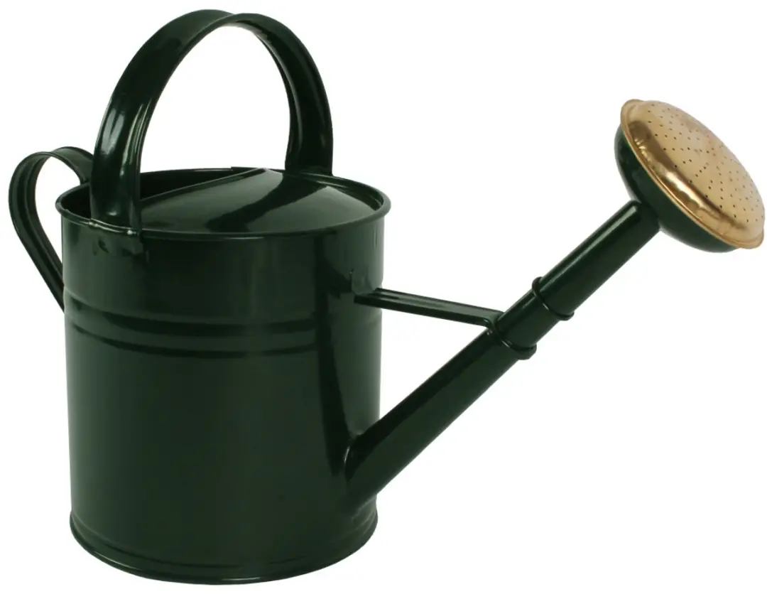 Talen Tools Gieter Metaal 5L - Groen
