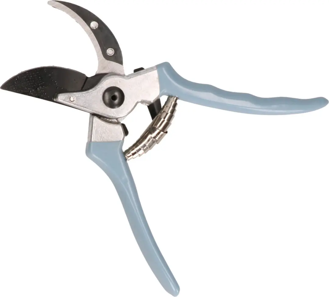 Talen Tools Snoeischaar VBS - Blauw