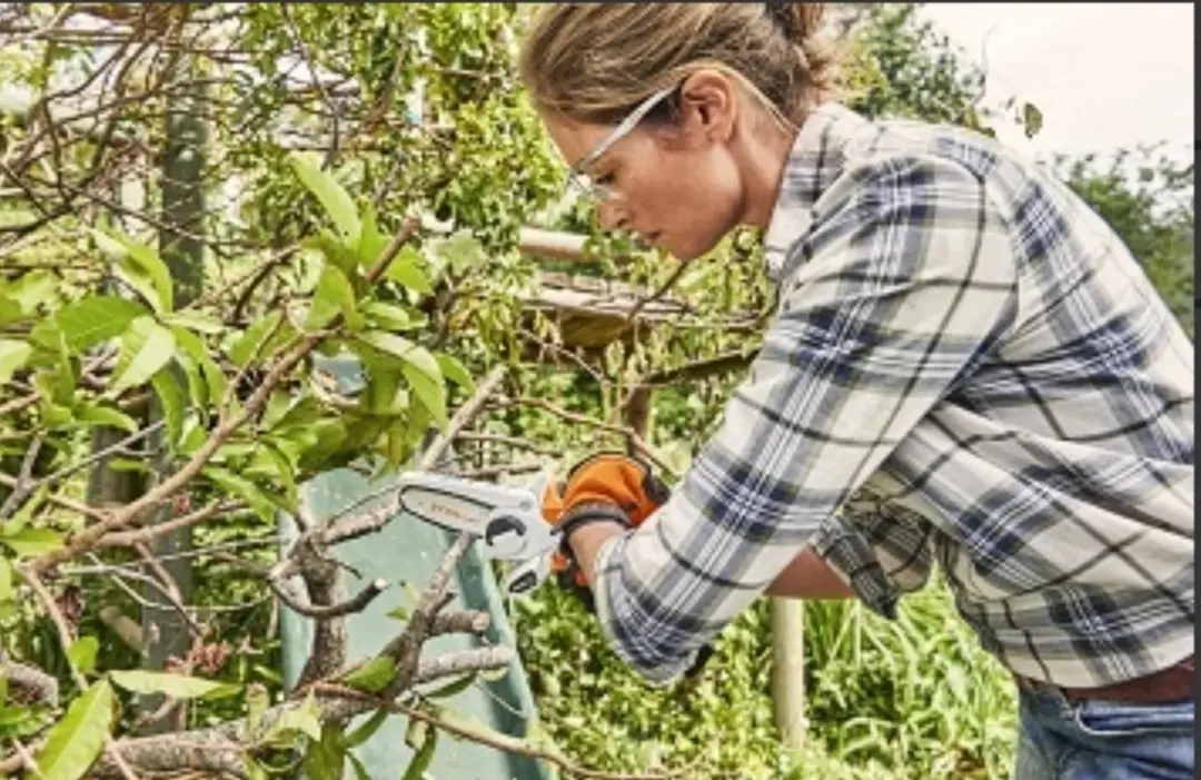 Stihl GTA 26 Accu Snoeizaag - met AS 2 Lithium-Ion - afbeelding 6 van 6