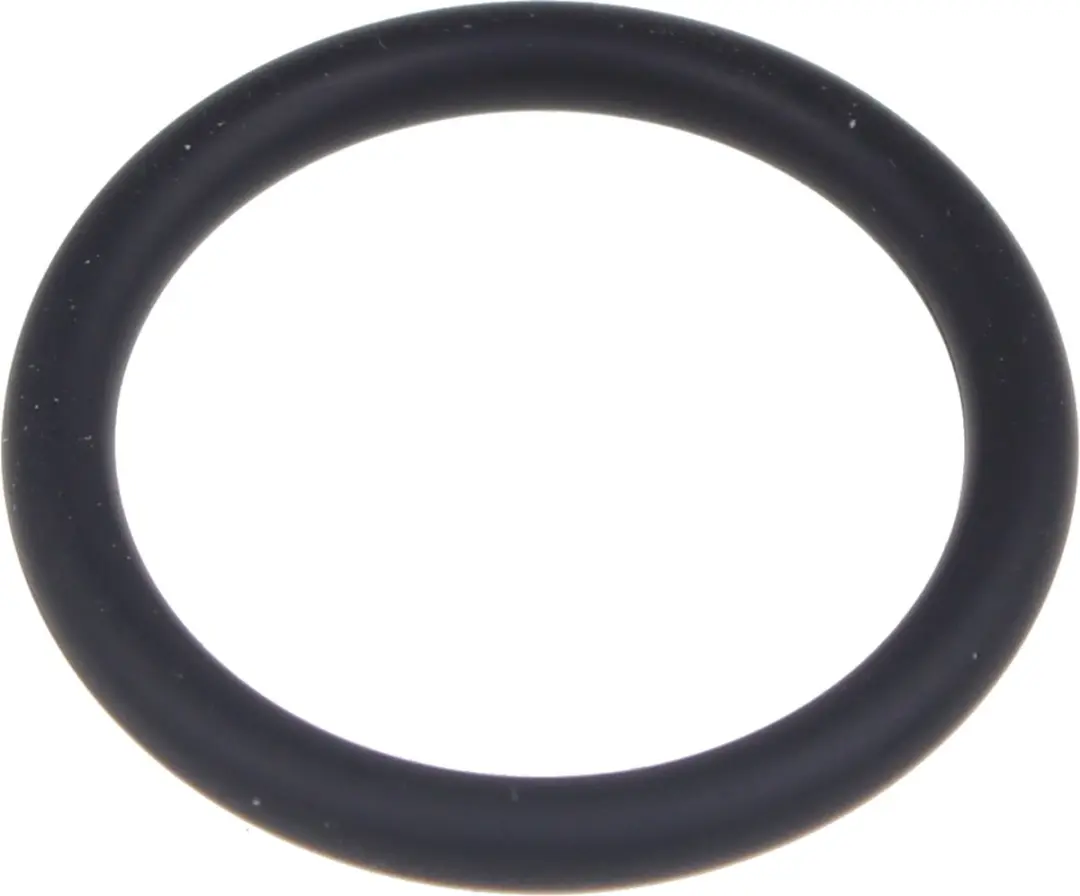 Kärcher EPDM O-Ring 22x3