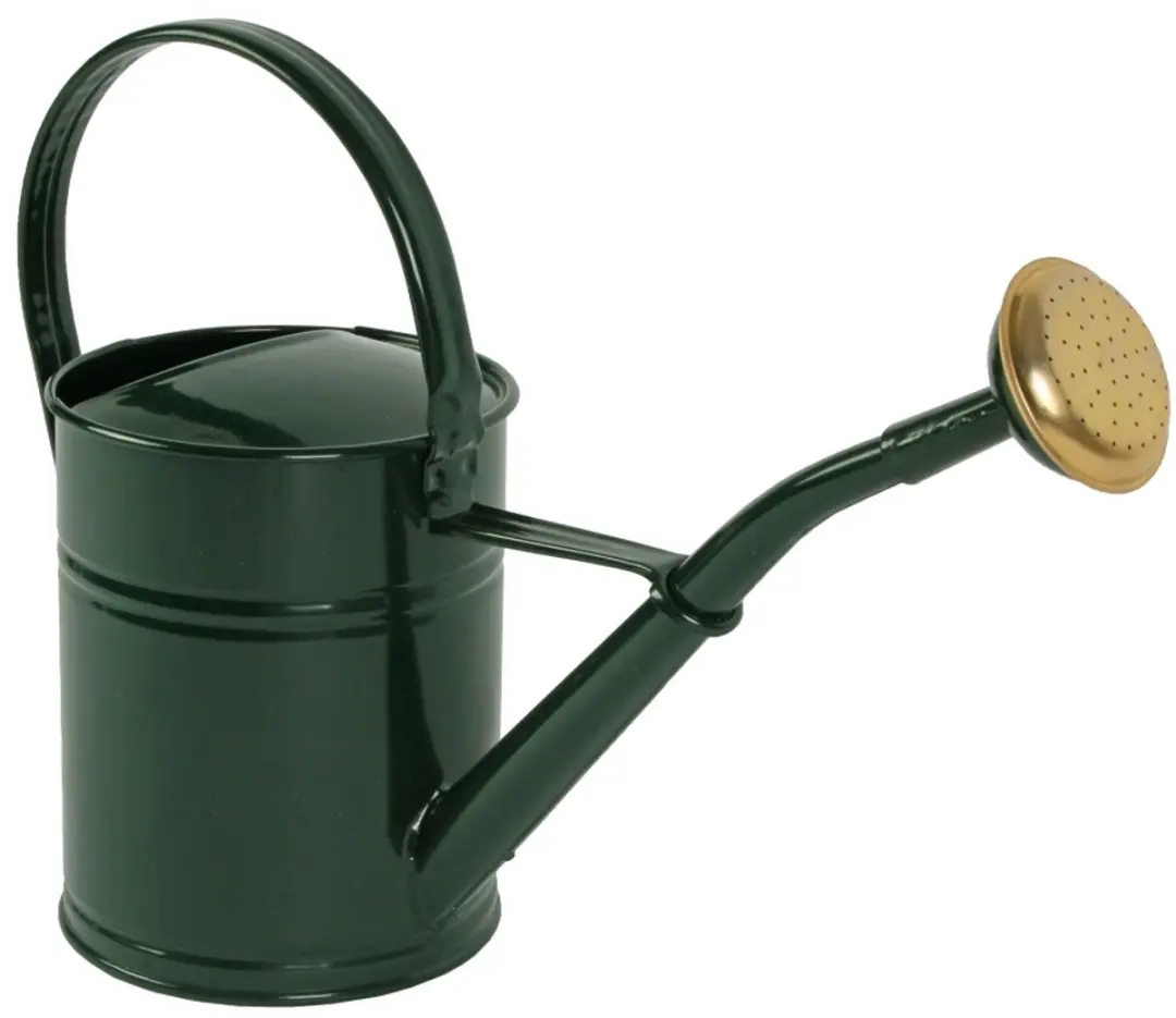 Talen Tools Groene Gieter 2L Metaal