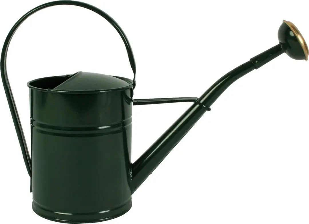 Talen Tools Groene Gieter 2L Metaal