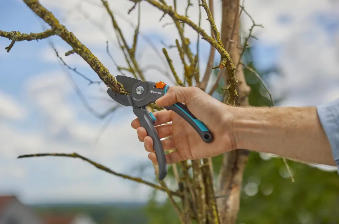 Gardena PremiumCut Pro Snoeischaar - Droog hout 24mm