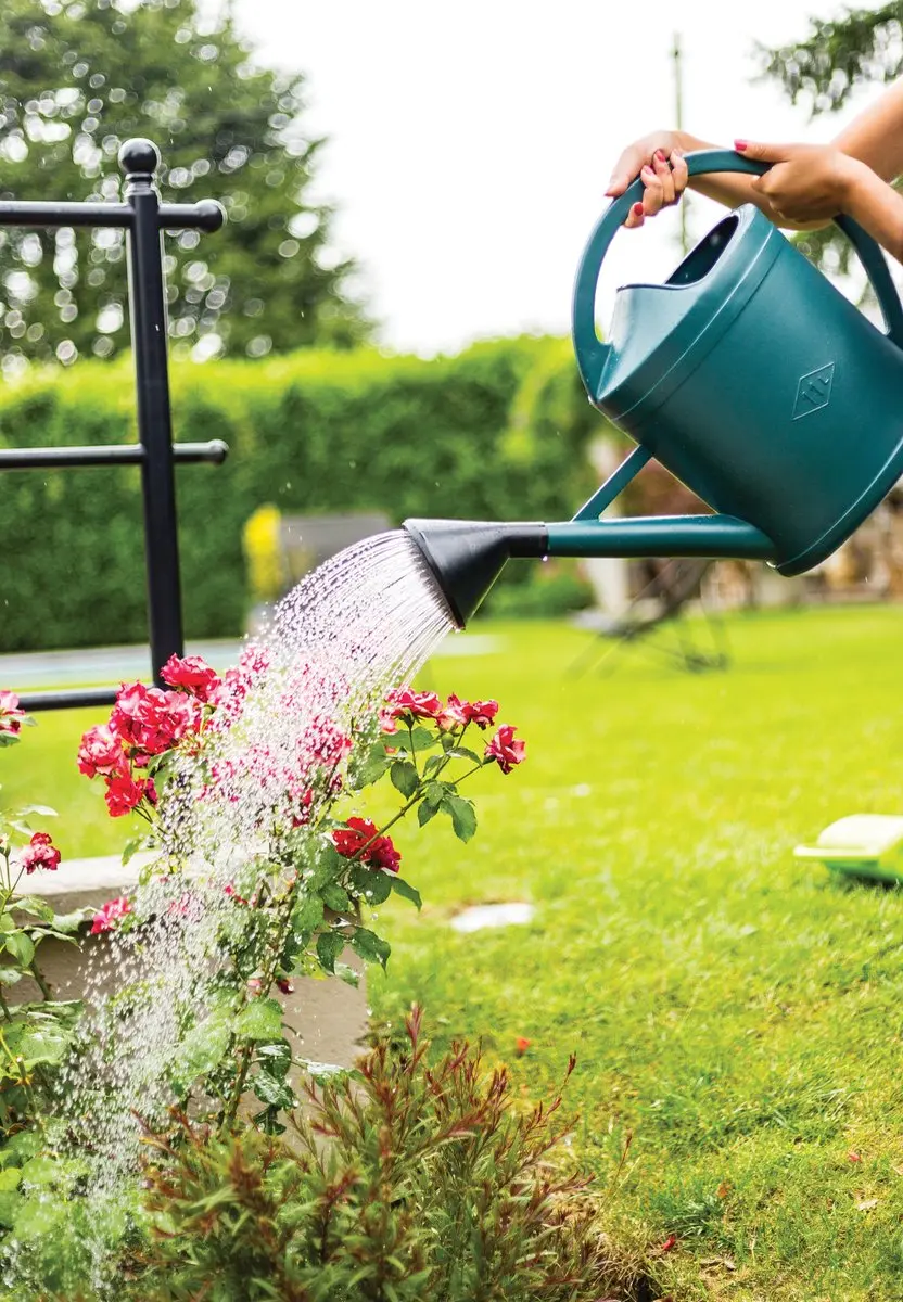 Talen Tools Gieter 11L - met sproeier - Groen
