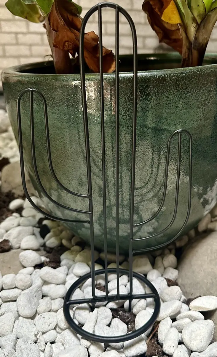 Impuls Cactus Tuinsteker