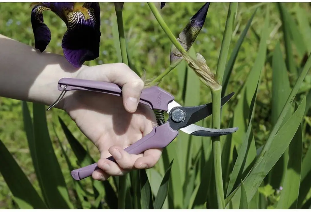 Bahco P123-LILAC Floristieke Snoeischaar - 10mm - Paars