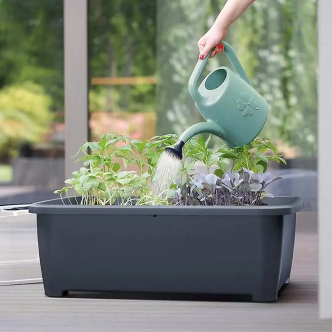 Prosperplast Gieter 4.5L Mintgroen