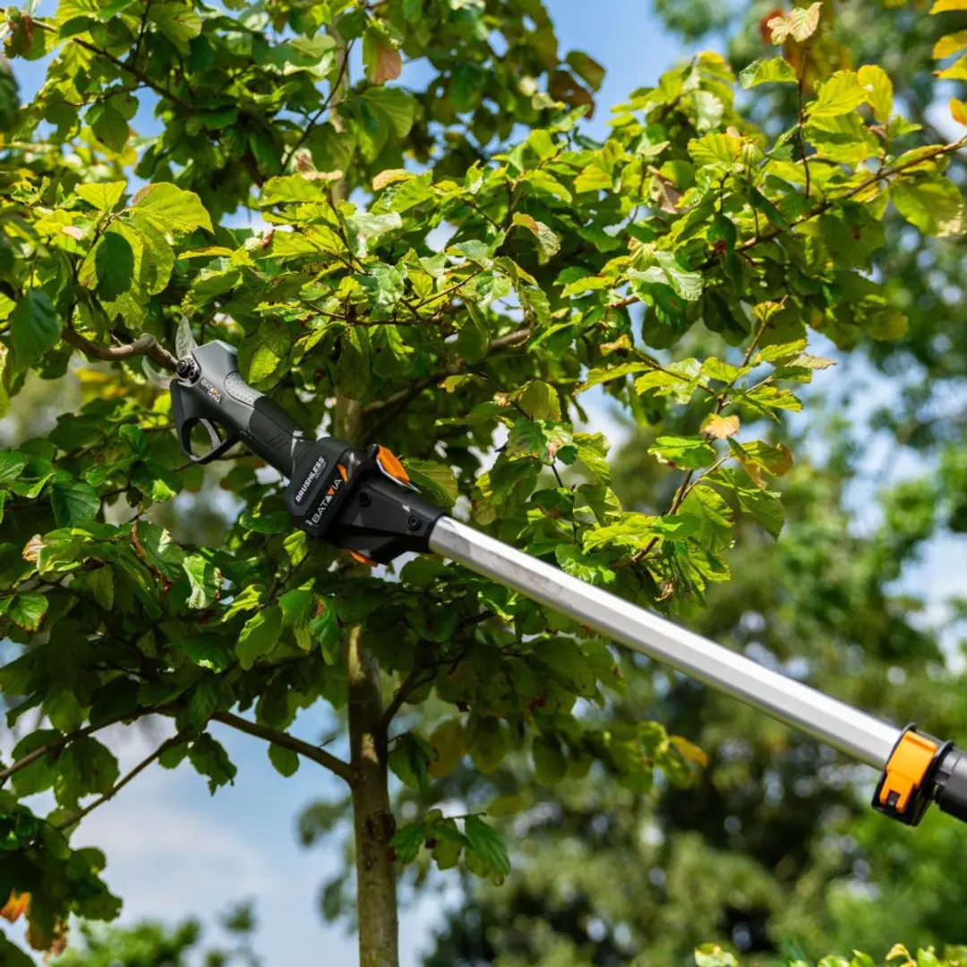 Batavia 18V Nexxcut Brushless Takkenschaar 30mm