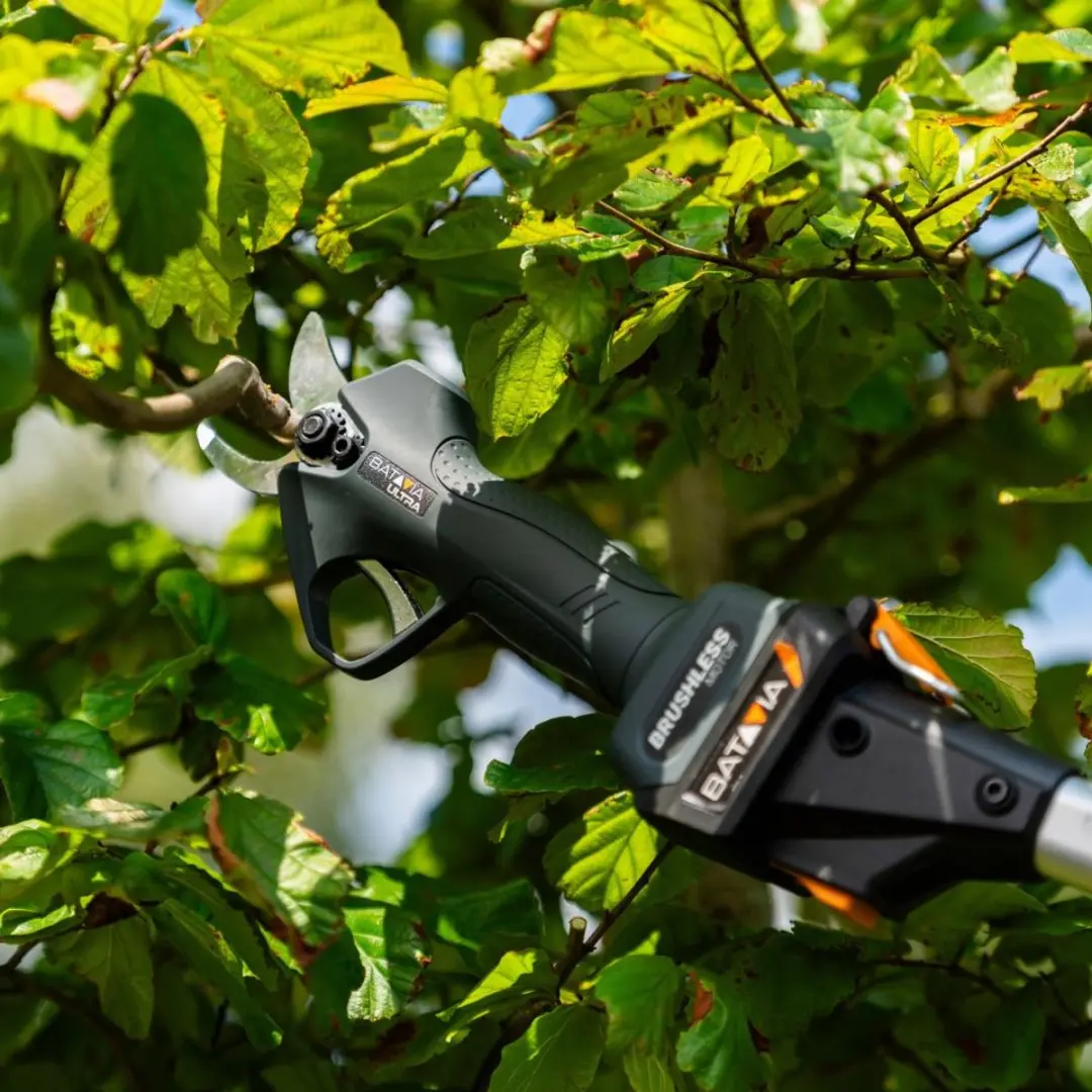 Batavia 18V Nexxcut Brushless Takkenschaar 30mm