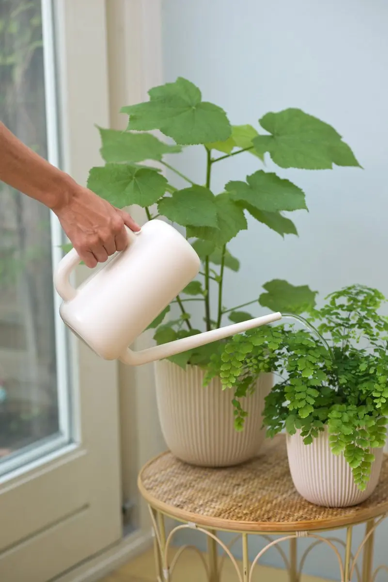 Nature Gieter Kunststof 1.8L - Ivoor