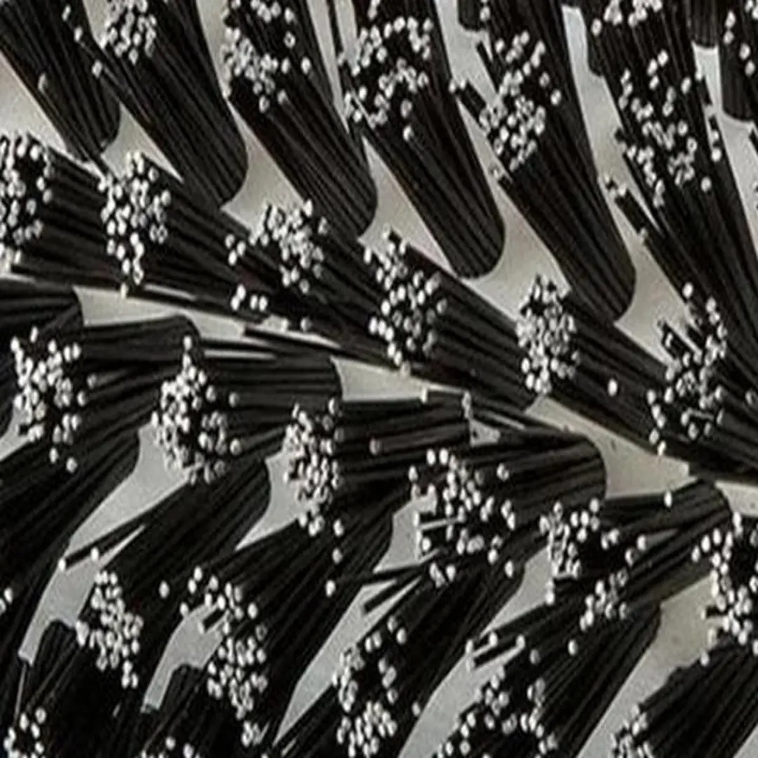 Gloria Borstel voor Terras MultiBrush/PowerBrush