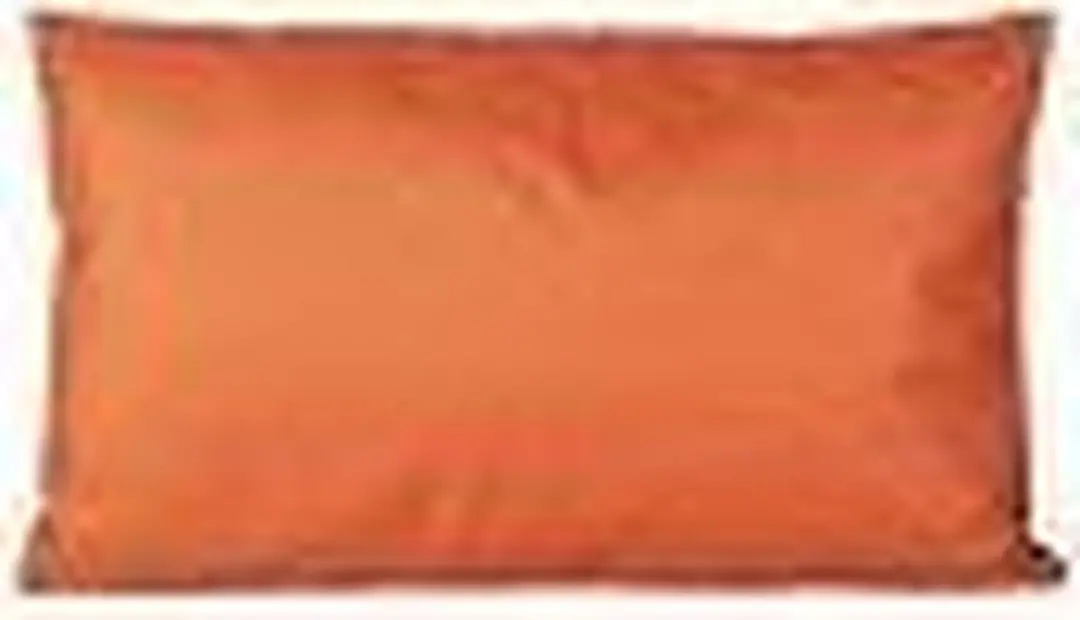 Anna's Collection Buiten Zitkussens 30x50cm - Oranje