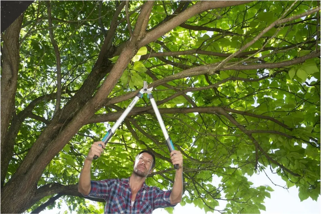Gardena EasyCut 680 B Takkenschaar 42mm