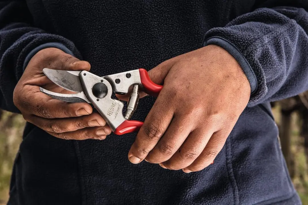 Felco F16 Snoeischaar Linkshandig - afbeelding 6 van 6