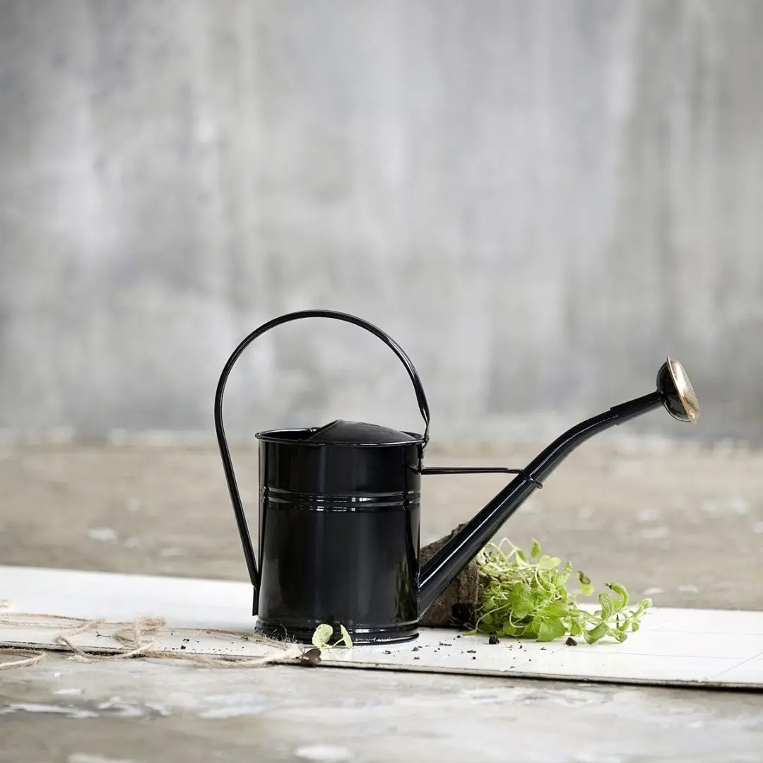 House Doctor Gieter - 0.10 l - Zwart