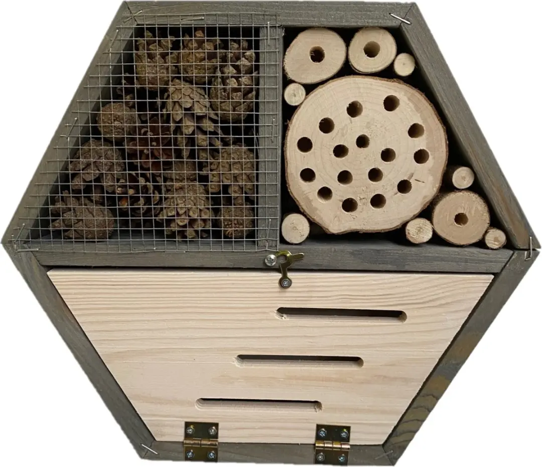 Mullrose Vlinderkast Insectenhotel