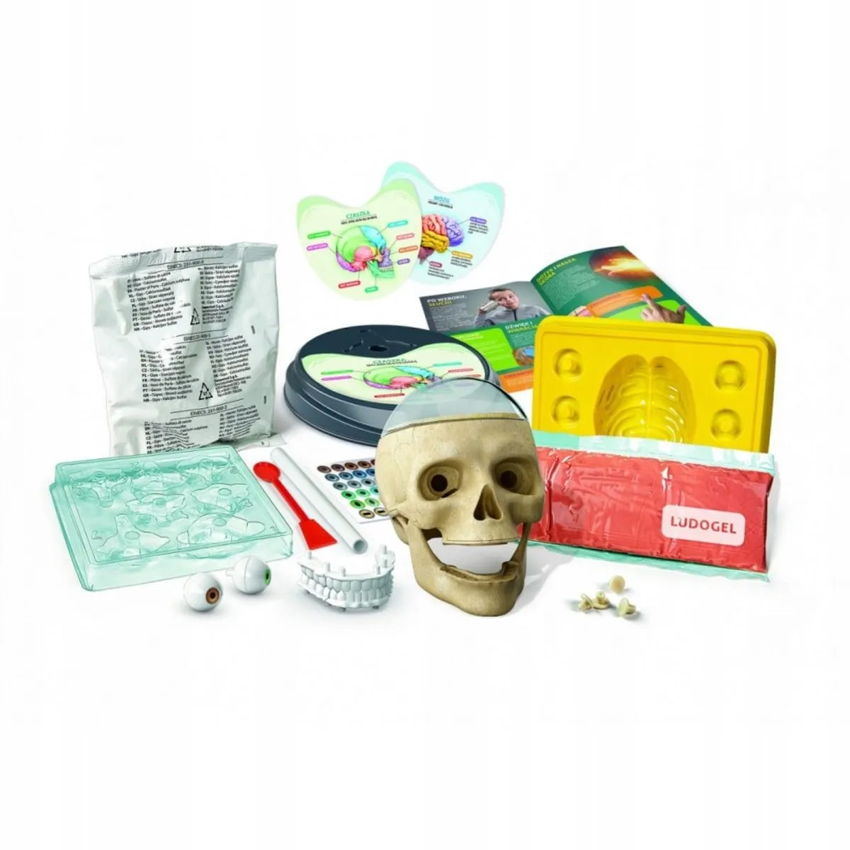 Clementoni Wetenschapsset Menselijke Anatomie - 8+