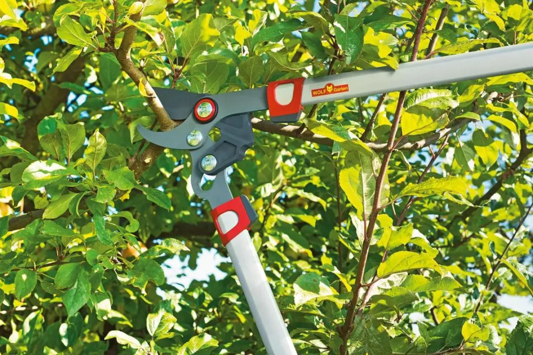 WOLF-Garten Takkenschaar POWER CUT RR 750 - 750mm - Aluminium hefboomarmen
