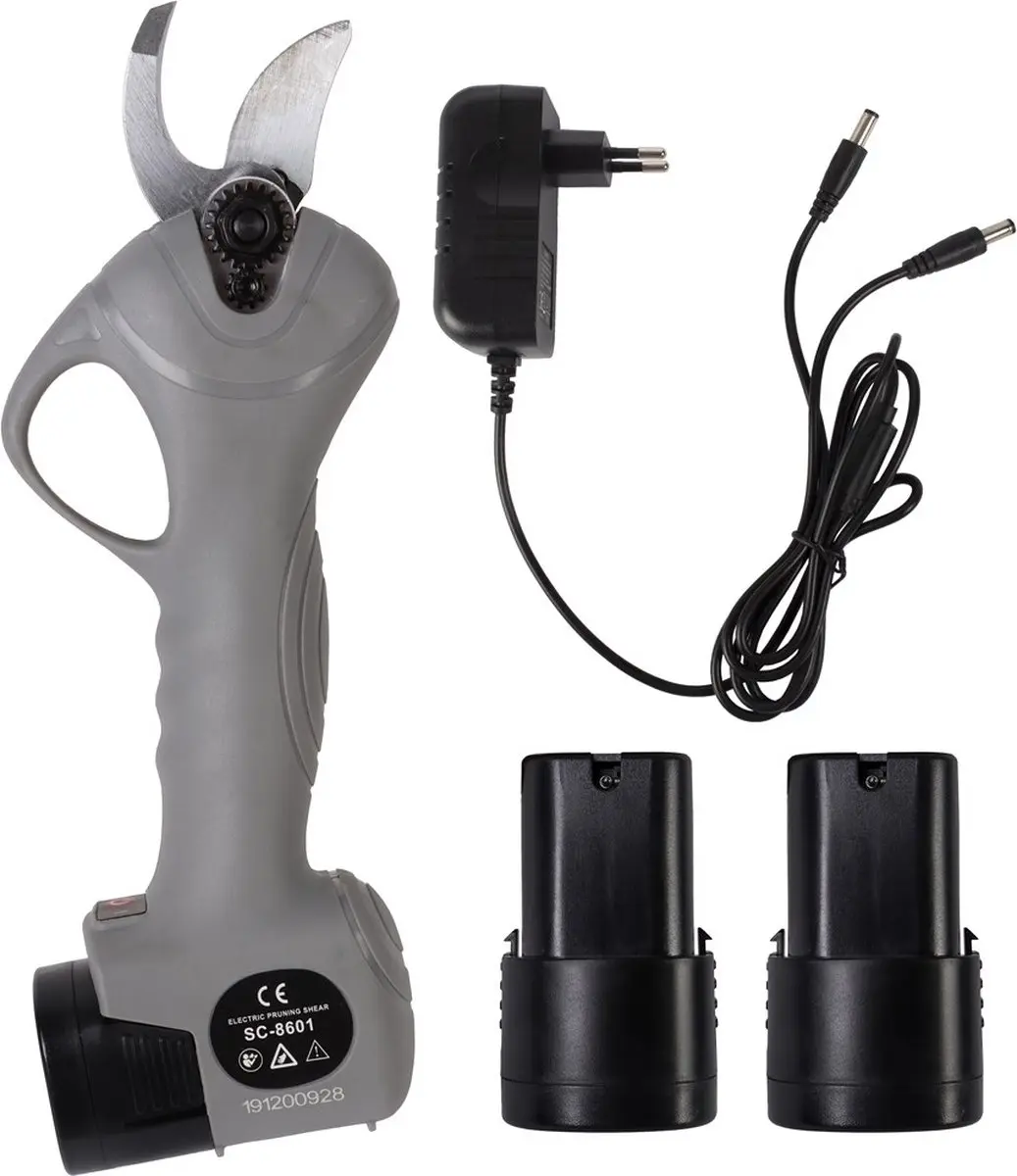 Talen Tools Accu voor Snoeischaar - 1 Stuks