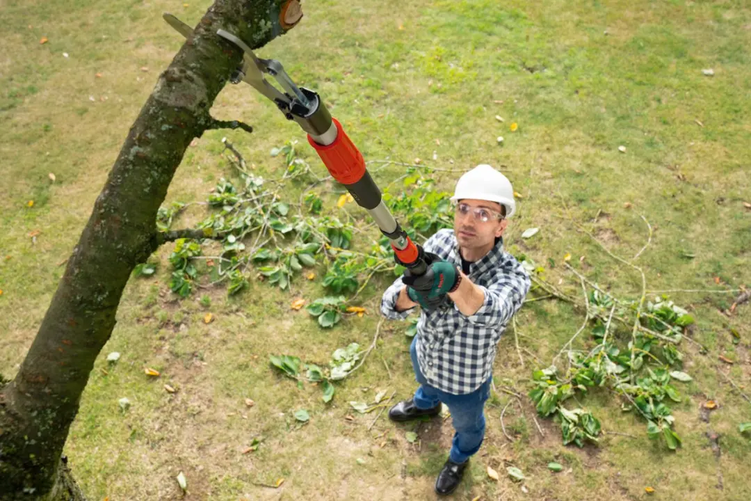 Bosch AdvancedPrune 18V-45 Accutakkenschaar