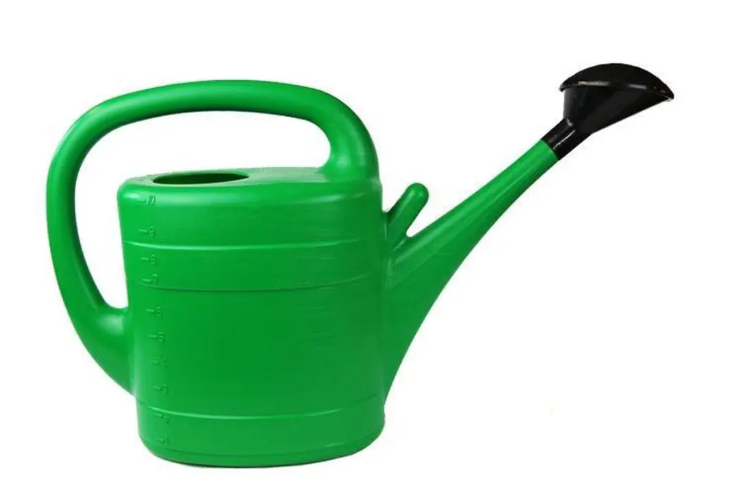 Prosperplast Gieter met broeskop 10L - Groen
