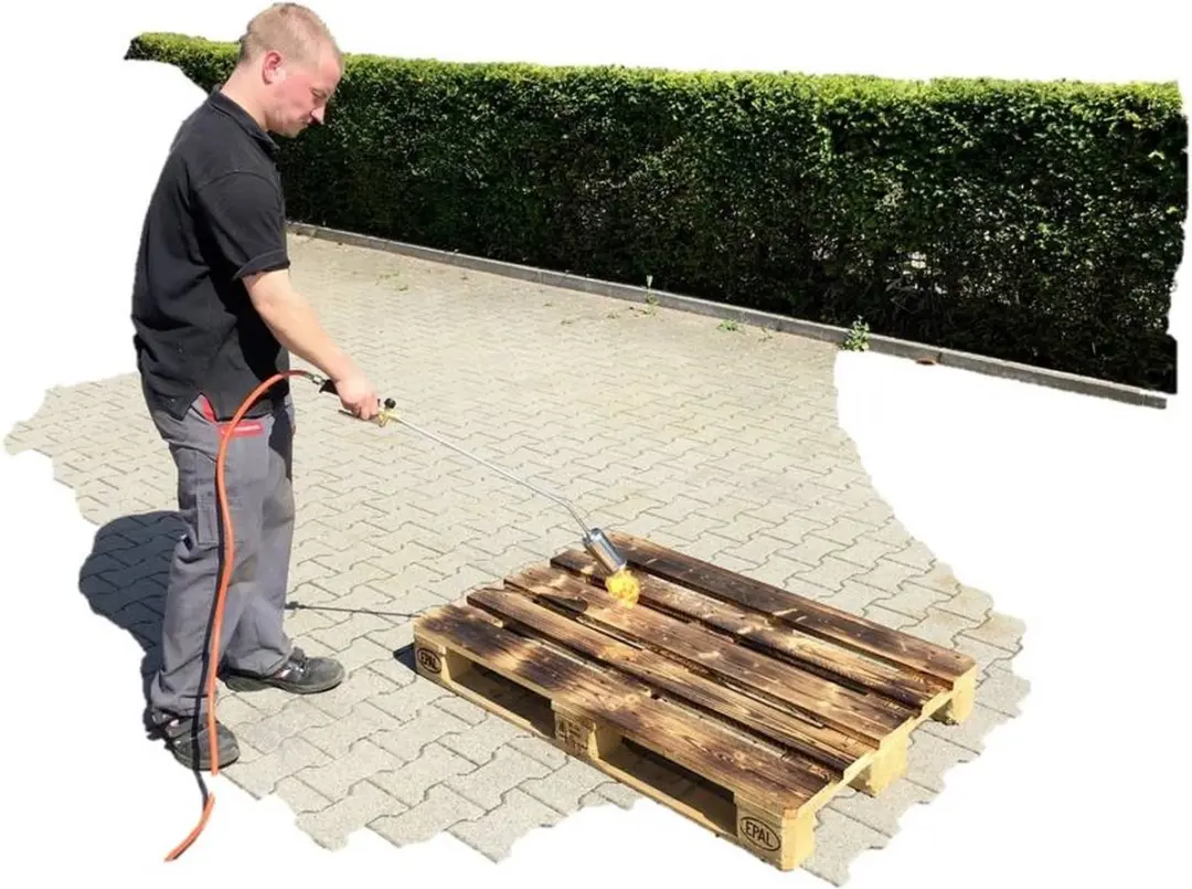 Rothenberger Gasbrander Eco ROT030958E