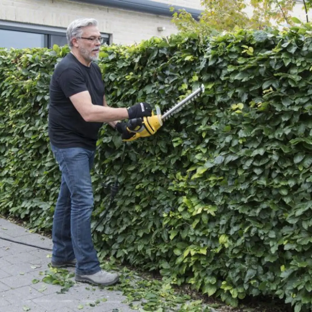 Powerplus POWXG2007 Elektrische Heggenschaar 550W - 525mm Mes - afbeelding 6 van 6