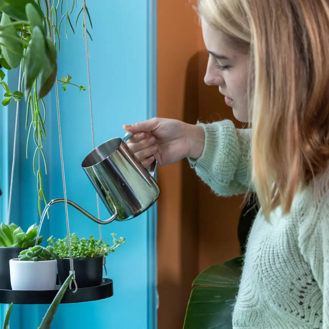 Esschert Design Kamerplanten Gieter RVS 0.55L