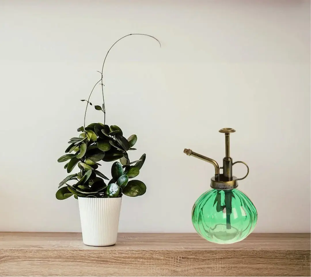Decoris Plantenspuit Glas 200ml - Mosgroen