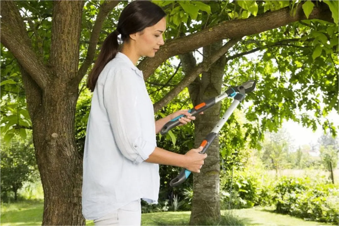 Gardena TeleCut Takkenschaar 520-670B - 42mm