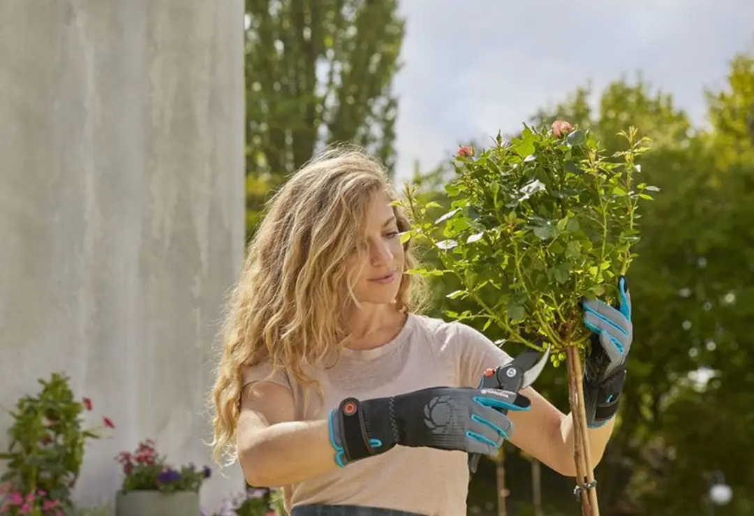 Gardena Snoei- en Rozen Tuinhandschoenen M - Zwart/Grijs