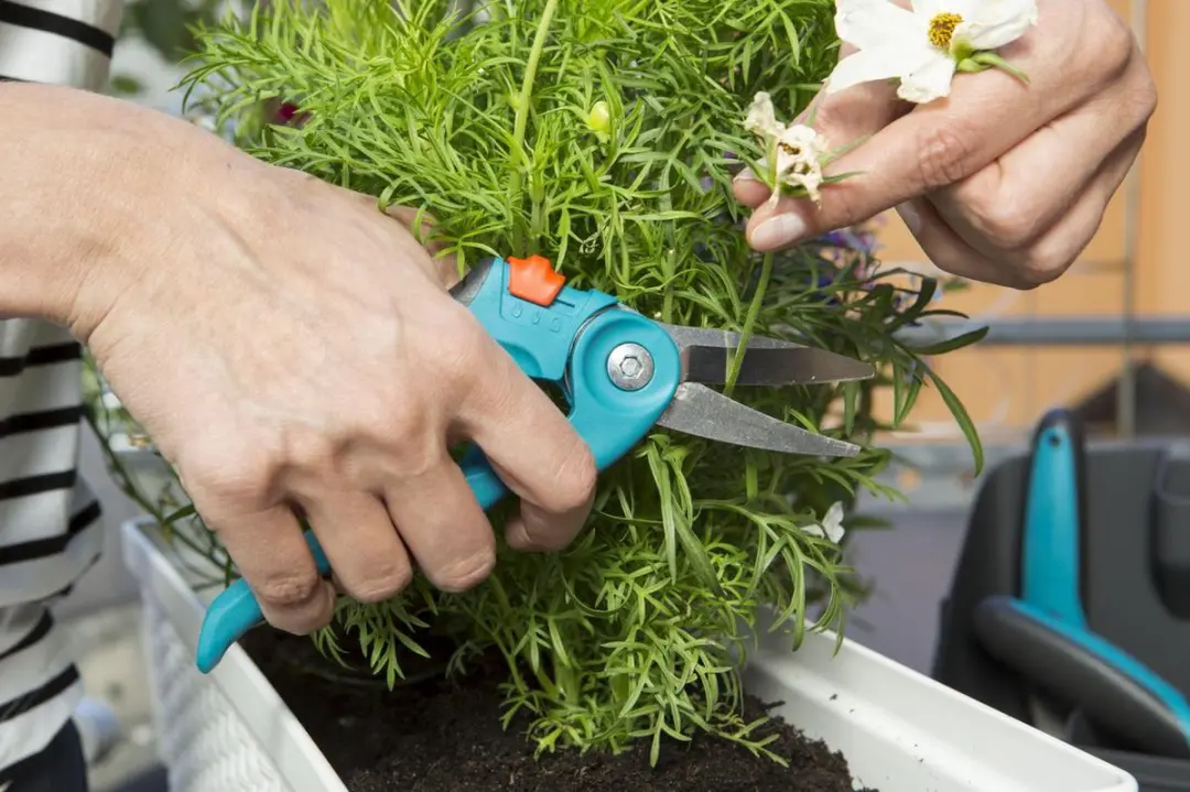 Gardena City Gardening Allesknipper