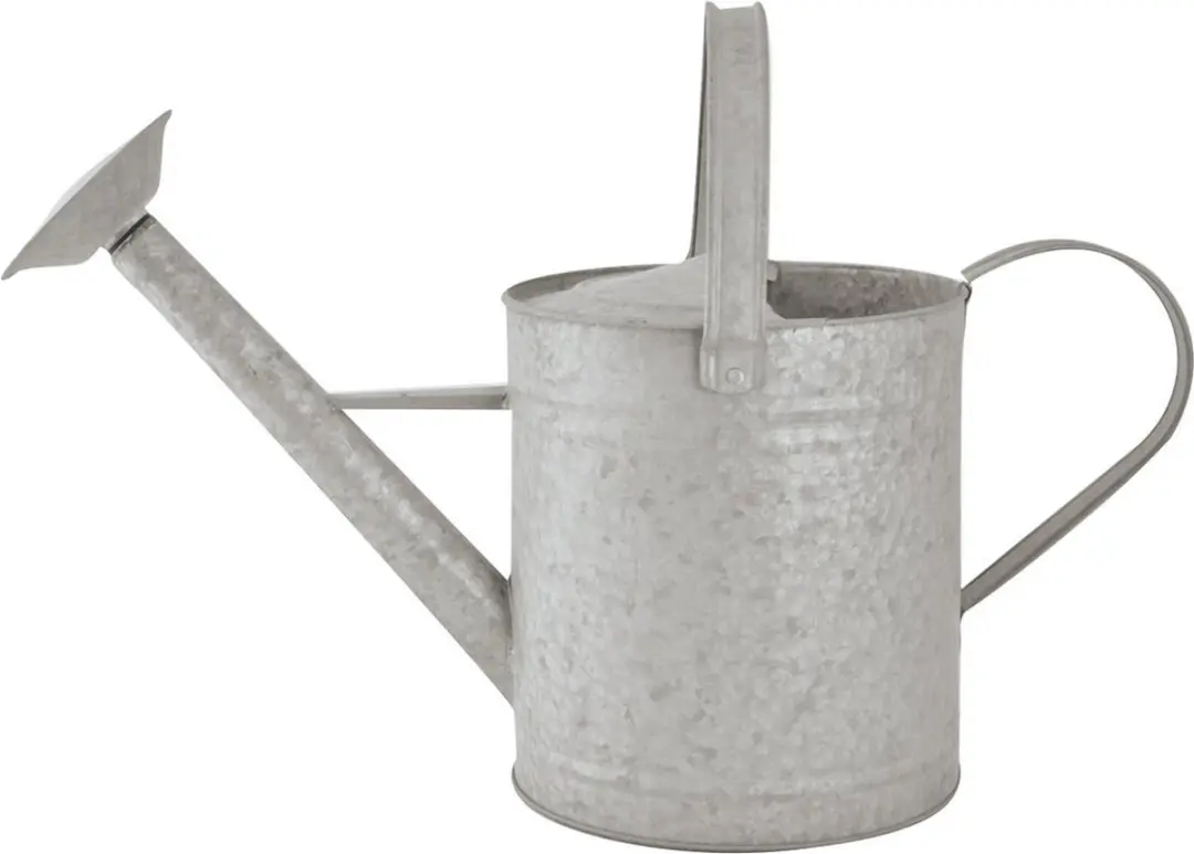 Esschert Design Gieter Zink 8,75L - 55,5cm