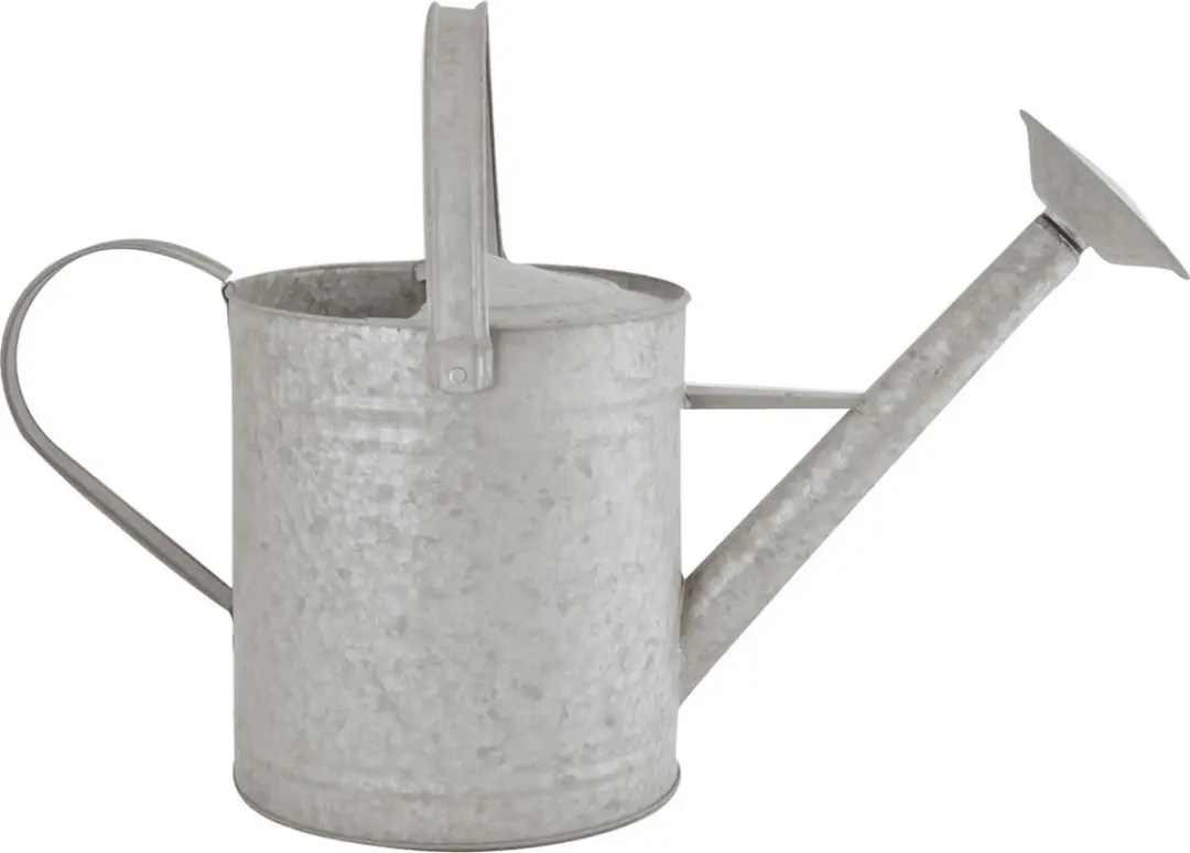 Esschert Design Gieter Zink 8,75L