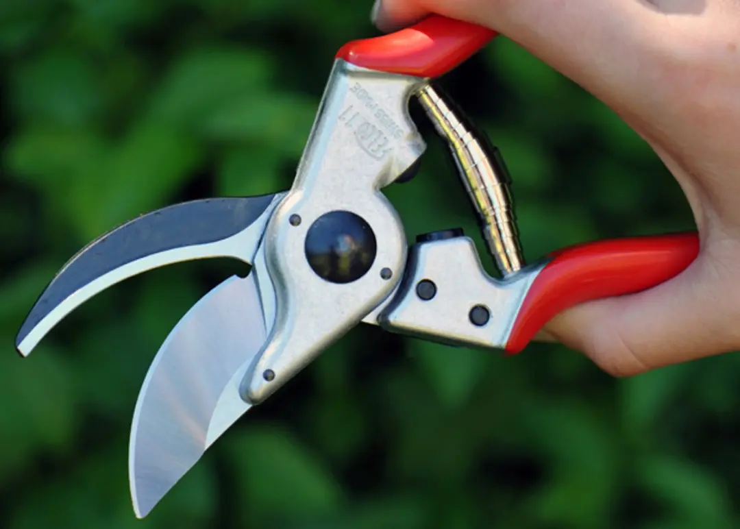 Felco 11 Snoeischaar 25mm - afbeelding 6 van 6
