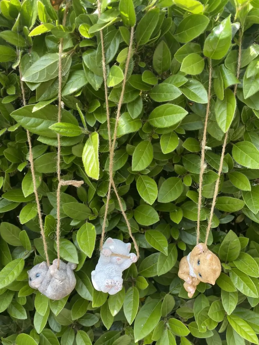 Impuls Hangen Katten Set - 3 Stuks Meerkleurig