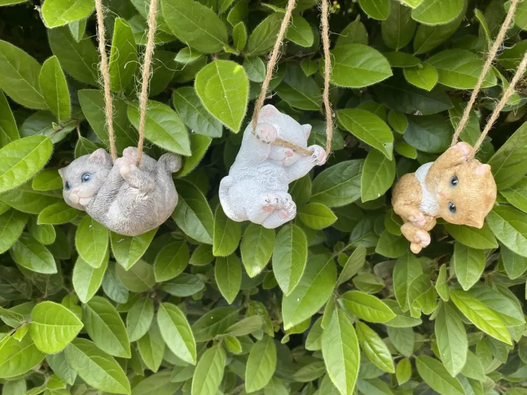 Impuls Hangen Katten Set