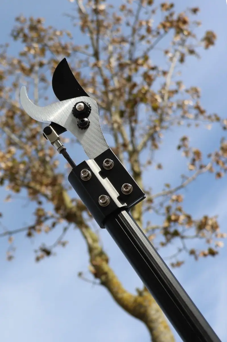 Talen Tools Elektrische Snoeischaar 160cm - 2x Accu's