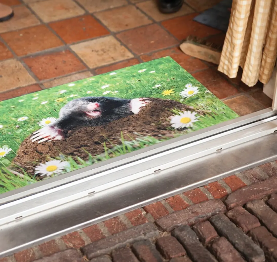Esschert Design Deurmat 45x75cm - Groen/Bruin