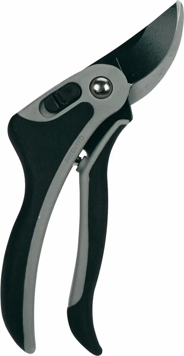 Talen Tools Snoeischaar Koolstofstaal VBS