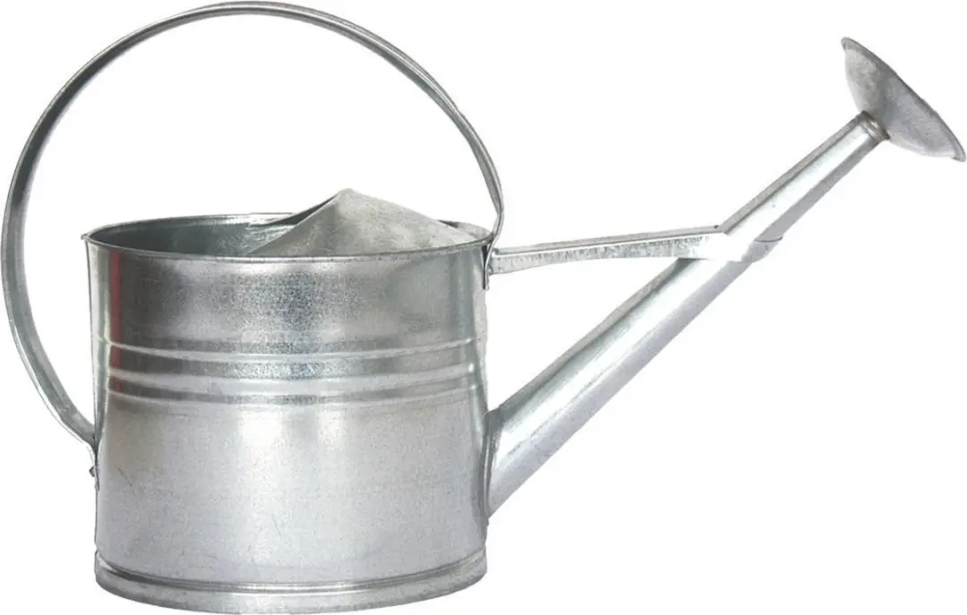 Esschert Design Gieter Zilver 8L