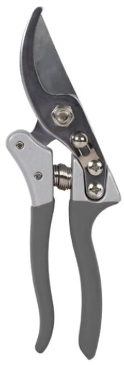Talen Tools Snoeischaar Professioneel - Rood