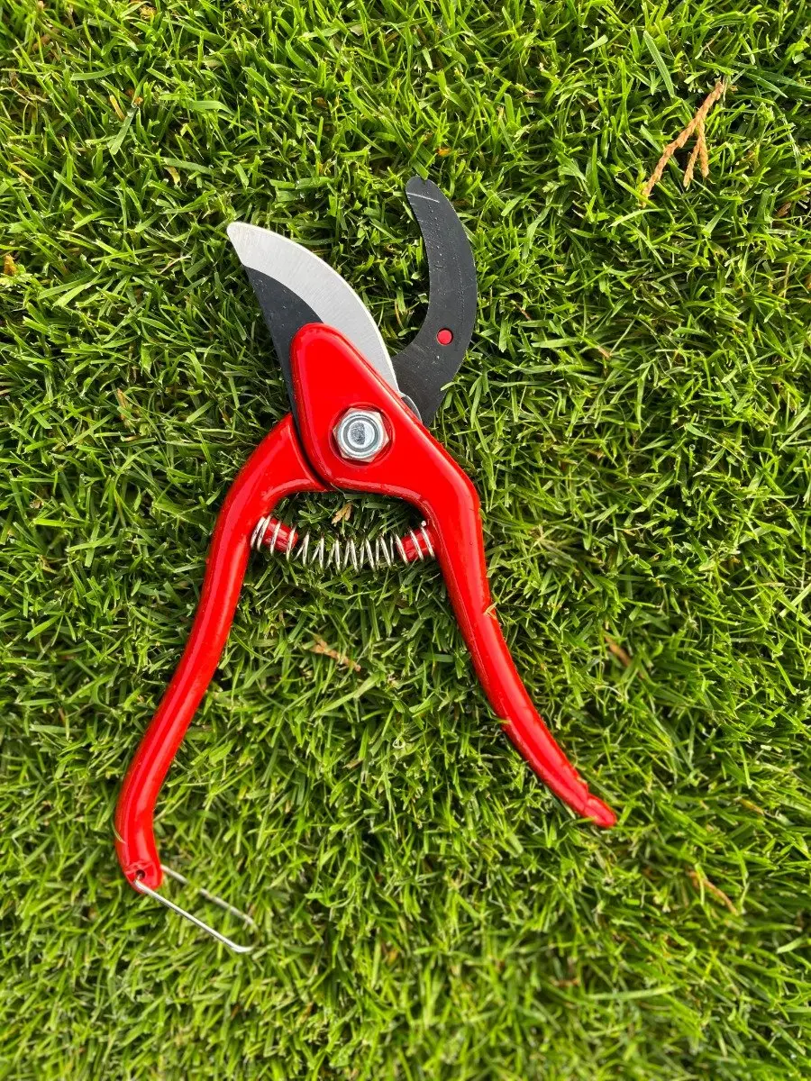 Talen Tools Snoeiset 3-delig - Takkenschaar Heggenschaar Snoeischaar Koolstofstaal