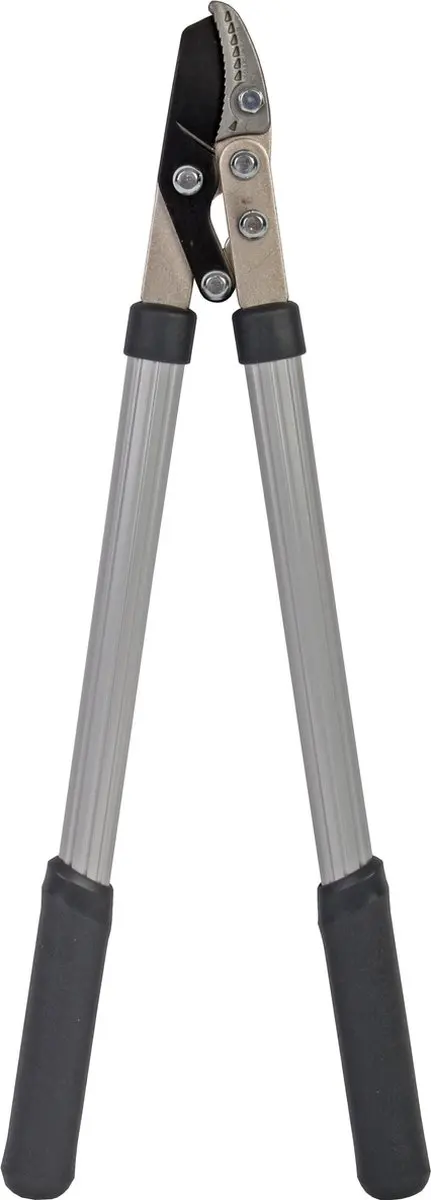 Talen Tools Dames Takkenschaar 53cm