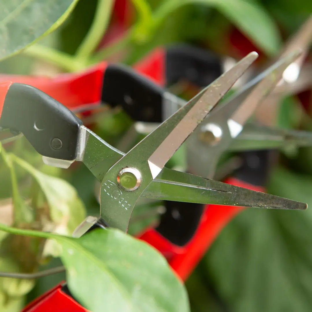 Felco 322 Oogst- en Bloemenschaar 19cm