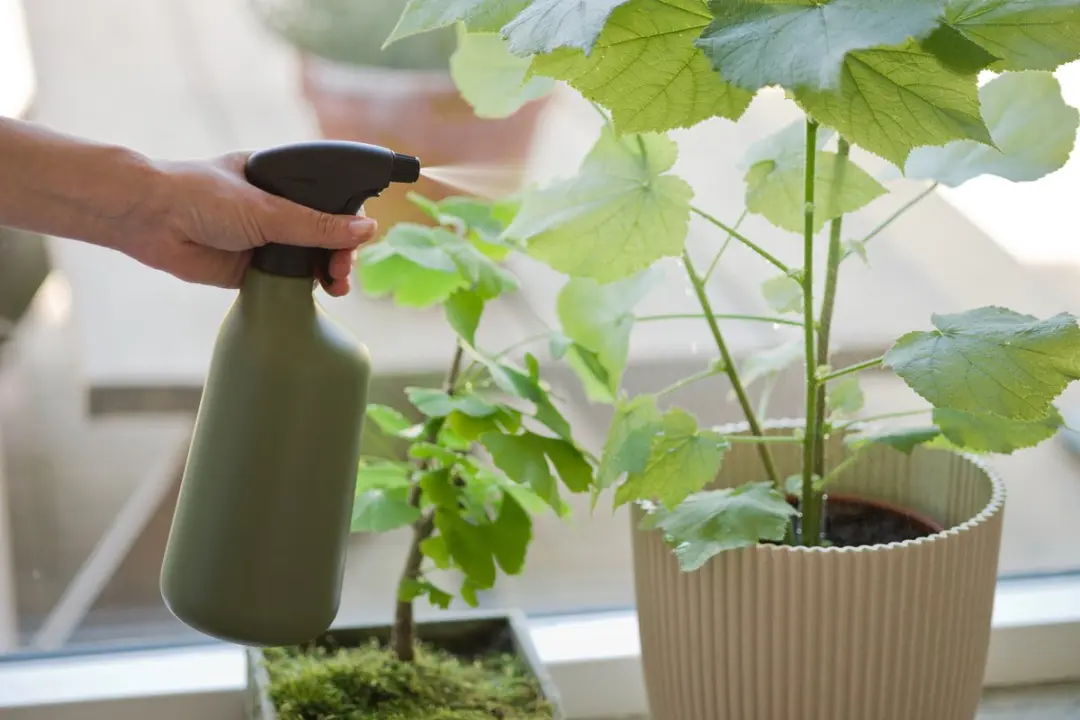 Nature Plantenspuit Groen Kunststof