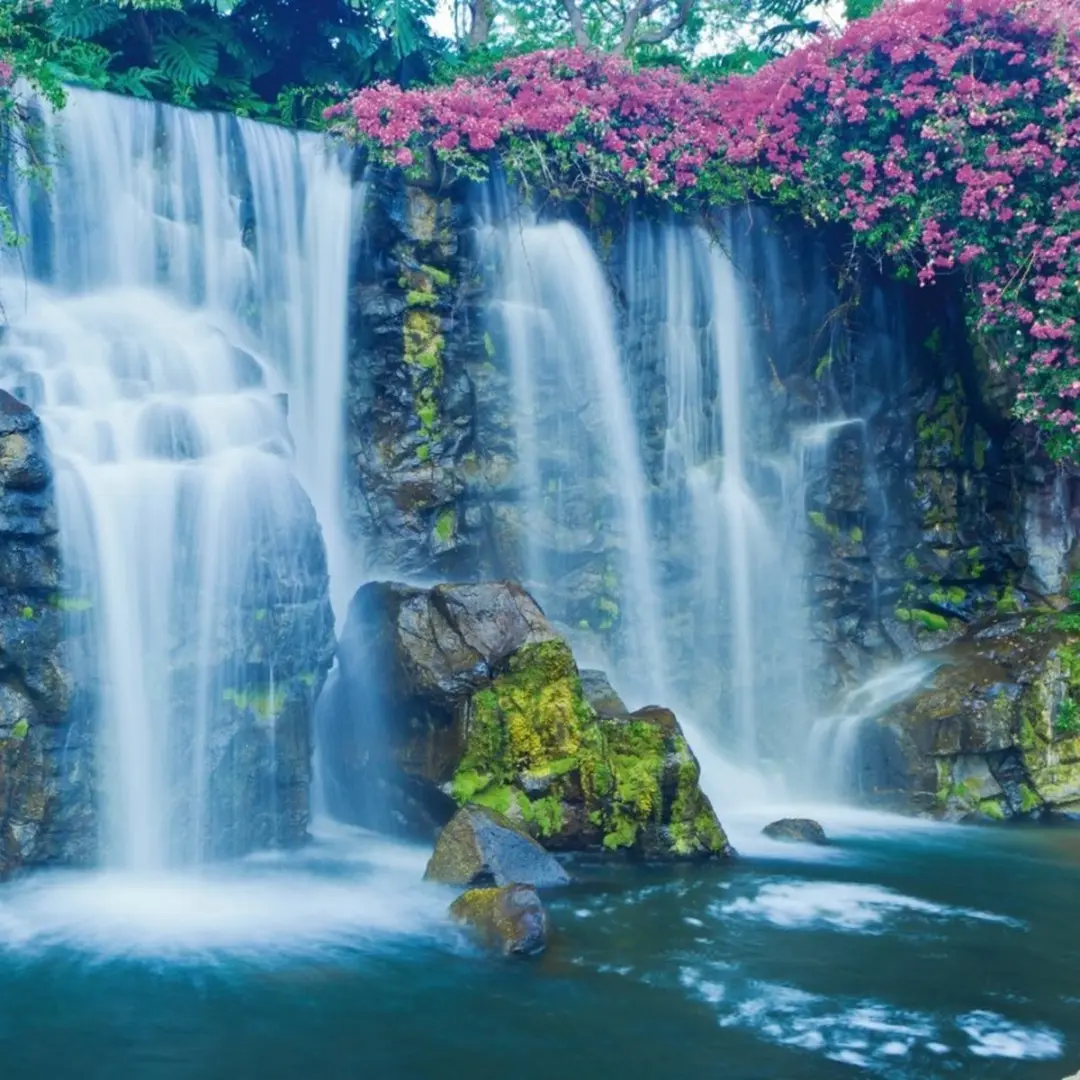 Anna's Collection Buiten Canvas Waterval 58x58cm