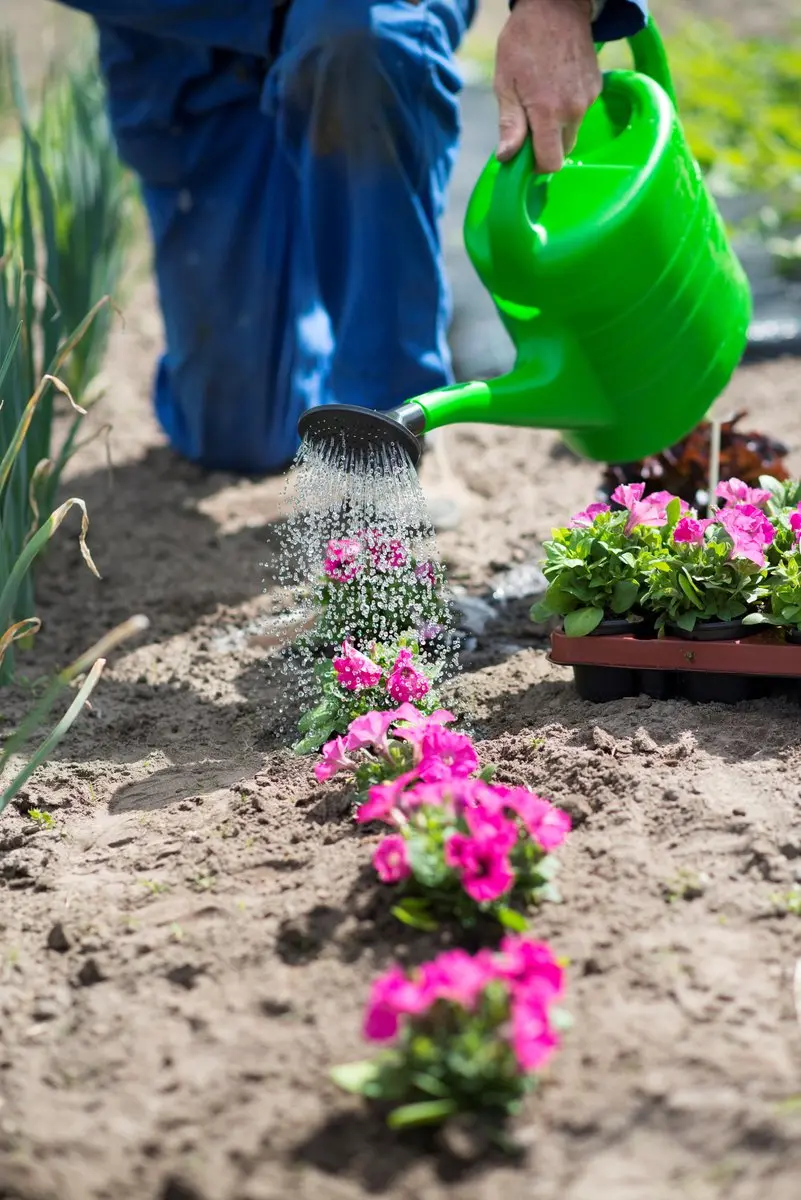 Nature Gieter 10L Kunststof - Groen - met Broeskop